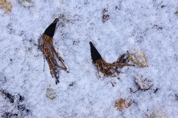 Gioielli fatti a mano. Gli orecchini da perline pendono su uno sfondo invernale . — Foto Stock