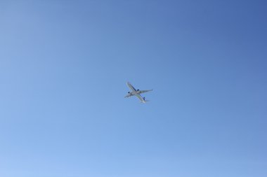 Novosibirsk - 30 Ekim: Yeni uçak Airbus A321 Ja111a (ex D-Avxu) tüm Nippon Airways/ana. Novosibirsk Tolmachevo Havaalanı'nda teknik iniş. 30 Ekim 2016 Novosibirsk Rusya'da