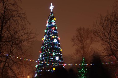 Yeni yıl Noel ağacı ışıkları bokeh