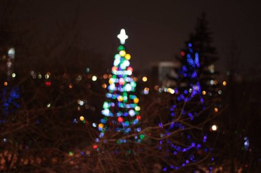 Yeni yıl Noel ağacı ışıkları bokeh