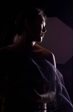 Koyu arka plan üzerinde poz güzel Asyalı kadın. Yapıya ait hala görülebilen bazı detay ile kadın yüzü silüeti