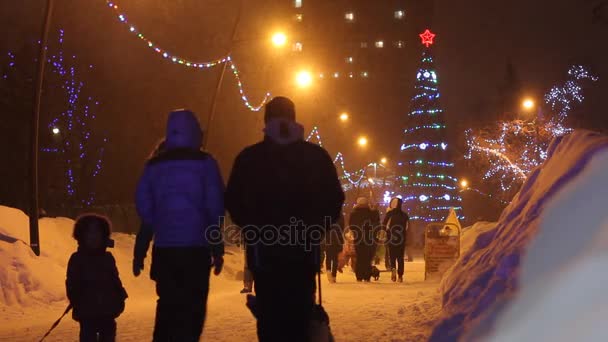 Nowosybirsk - Jan. 01: Park Kirov, lampki na choinkę. Dekorację świąteczną, sylwetki ludzi, spacery na świeżym powietrzu. Nowosybirsk 01 stycznia 2017 r. — Wideo stockowe