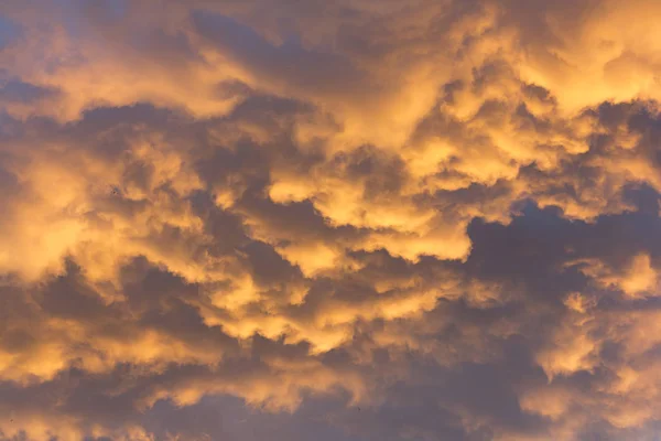 Background of dramatic evening sky and clouds — Stock Photo, Image