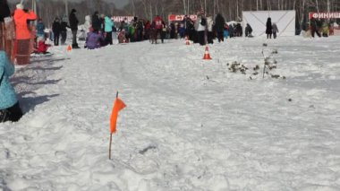 Novosibirsk - Şubat 25: kızak köpek yarış. Sibirya Festivali Kuzey binme cins köpeklere adamış. Sporcu ezme çevrede karlı yolda çalışır. 25 Şubat 2017 Novosibirsk Rusya'da