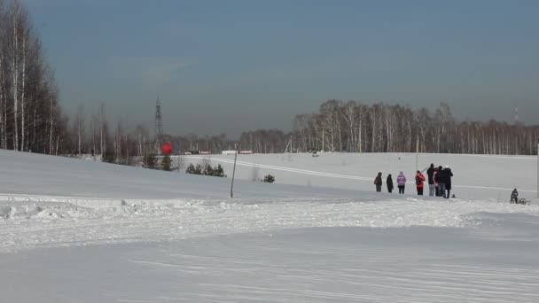 新西伯利亚-2 月 25 日︰ 狗拉雪橇比赛。西伯利亚的节日专门给北方骑马品种的狗。运动员 musher 跑狗拉雪橇在雪道上。2017 年 2 月 25 日在新西伯利亚俄罗斯 — 图库视频影像