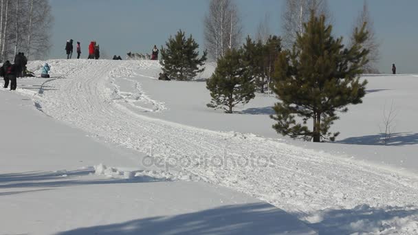 Nowosibirsk - 25. Februar: Schlittenhunderennen. das sibirische Fest, das den Hunden der nördlichen Reitrassen gewidmet ist. Sportler Musher läuft Hundeschlitten auf schneebedeckter Strecke. 25. Februar 2017 in nowosibirsk russland — Stockvideo