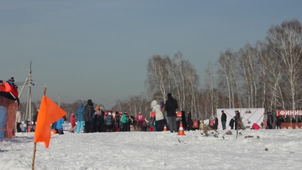 ノヴォシビルスク - 2 月 25 日: 犬そりレース。シベリアの祭の北の乗馬の品種の犬に専念。スポーツマン犬そり旅行者は、雪に覆われたトラックで犬そりを実行します。2017 年 2 月 25 日ロシア ノボシビルスク — ストック動画