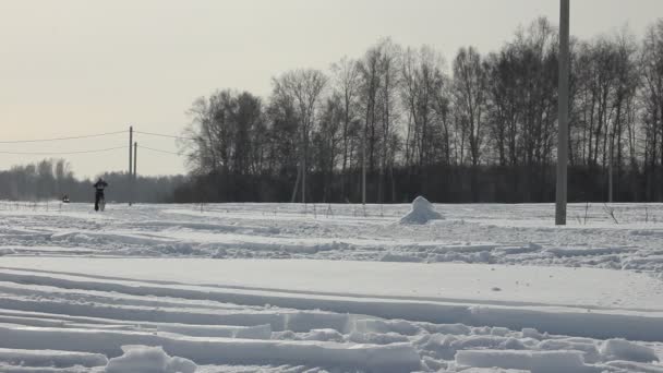 Novosibirsk - 25 únor: závody psích spřežení. Na Sibiři festival, věnovaný psům Severní jezdecké plemen. Sportsman musher vede psím spřežením na zasněžené trati. 25. února 2017, Novosibirsk, Rusko — Stock video