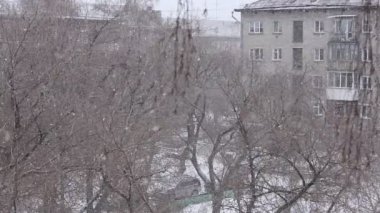 Kar fırtınası - kentsel yapı ve arka planda ağaçlar. Yoğun kar yağışı ve blizzard ile Sağanak Kar.