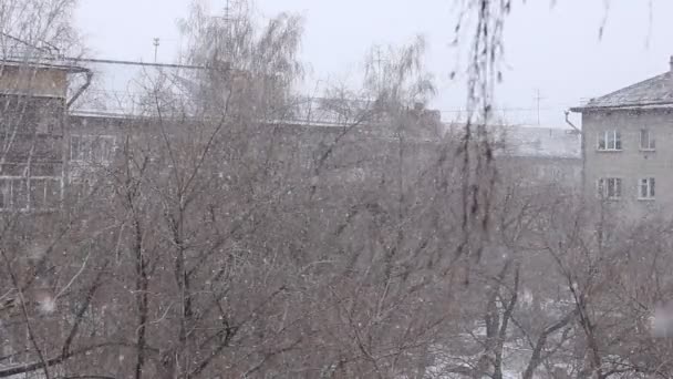 Tempête de neige - bâtiment urbain et arbres en arrière-plan. Grandes chutes de neige et blizzard avec neige dérivante . — Video