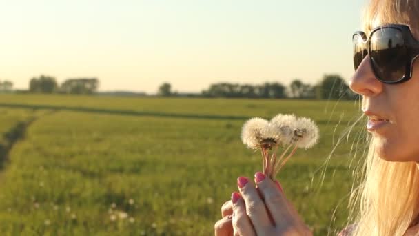 Mujer soplando diente de león en Sunset Summer Field. Atractiva mujer feliz en gafas de sol sonrisa y divertirse. Vacaciones y concepto de viaje . — Vídeos de Stock