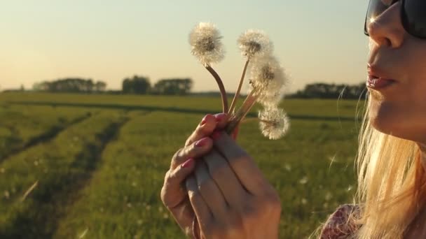 Frau bläst Löwenzahn bei Sonnenuntergang Sommerfeld. attraktive, glückliche Frau mit Sonnenbrille lächelt und hat Spaß. Urlaub und Reisekonzept. — Stockvideo