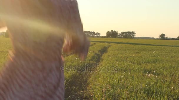 Hermosa mujer joven en un estilo hippy Boho vestido corriendo en el campo de verano de hierba de plumas en los rayos del atardecer. Color vintage . — Vídeos de Stock
