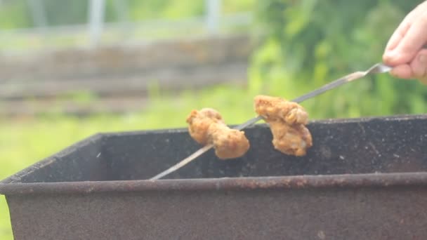 Chicken wings are fried a barbecue grill — Stock Video