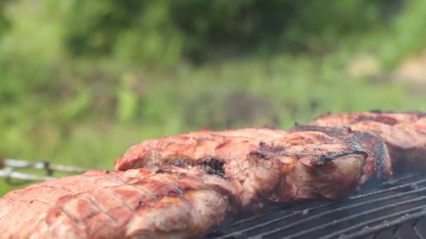 Saftige Steaks brutzeln auf flammendem und rauchendem Grill — Stockvideo