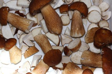  cepe çörek mantar arka plan