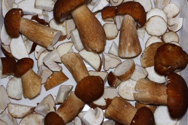  cepe çörek mantar arka plan