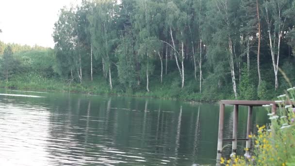 Hombre gordo saltando al lago al atardecer . — Vídeos de Stock