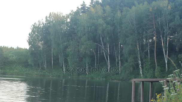 Толстяк прыгает в озеро на закате . — стоковое видео