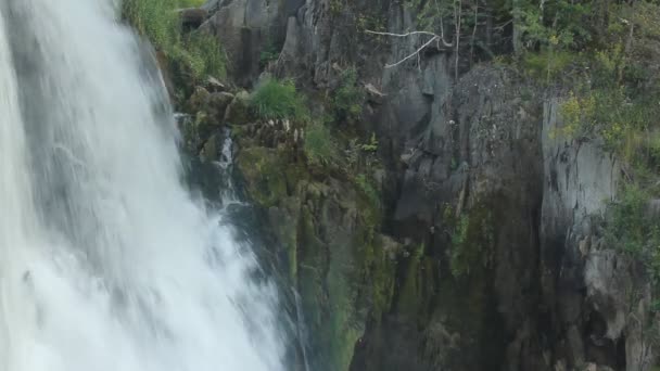 Pequena cascata. Fechar para cima de água de fluxo . — Vídeo de Stock