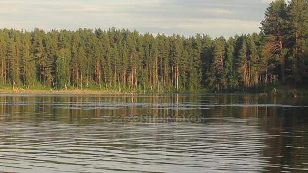 Idylliska sommarlandskap med kristallklara sjön och skogen träd reflektioner. — Stockvideo