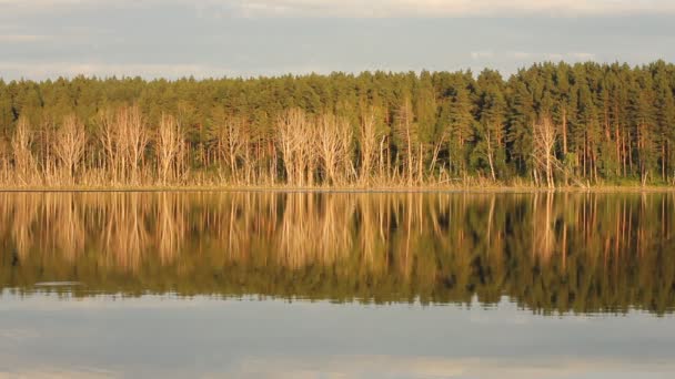Ідилічний літній пейзаж з кришталево чистим озером та відображенням лісових дерев . — стокове відео