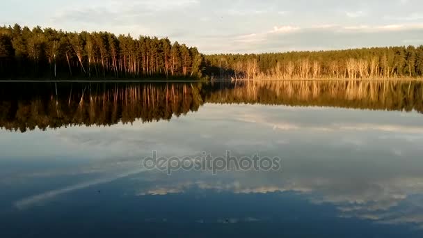 Idyllische zomer landschap met kristalheldere meer en bos en bomen reflecties. — Stockvideo