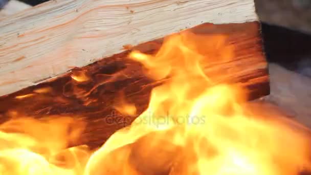 Příprava na grilu pro grilování. Palivové dříví a uhlí hoří v ohřívadla. — Stock video