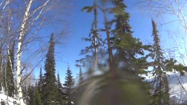 Sheregesh Rusland Nov 2017 Mensen Skiën Sheregesh Resort Snowy Synny — Stockvideo