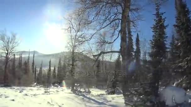 Sheregesh Rusland Nov 2017 Mensen Skiën Sheregesh Resort Snowy Synny — Stockvideo