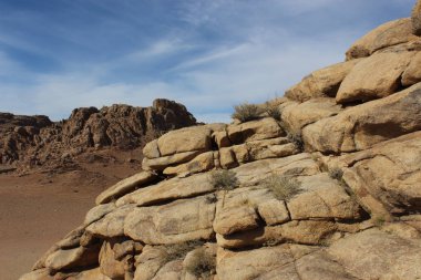 Moğol arka plan için seyahat etmek   