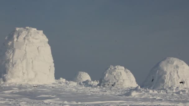 Winter Dwelling Eskimos Igloo Eskimos Village — Stock Video