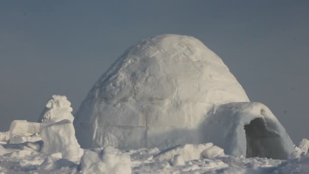 Vinter Boningen Eskimåer Igloo Eskimåer Village — Stockvideo