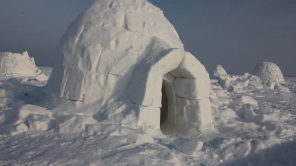 Zimą Mieszkania Eskimosi Igloo Eskimosi Wieś — Wideo stockowe