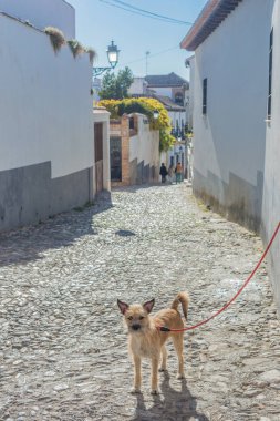 Albaicin çeyrek sokakları Granada, İspanya