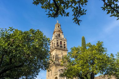 Andalusia, İspanya Cordoba Camii Katedrali