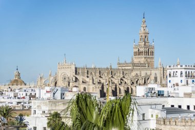 Giralda Seville, Endülüs, İspanya.