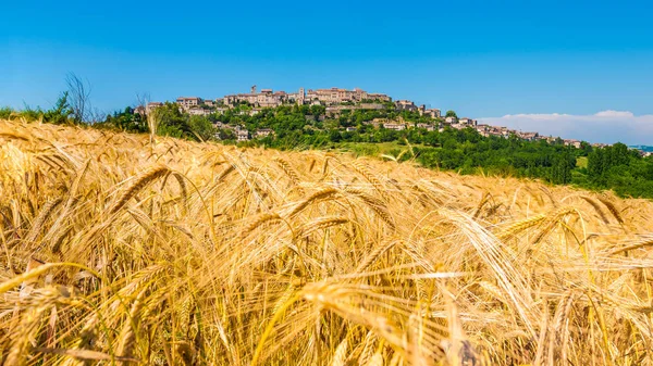 Cordes-sur-Ciel, sur de Francia . —  Fotos de Stock