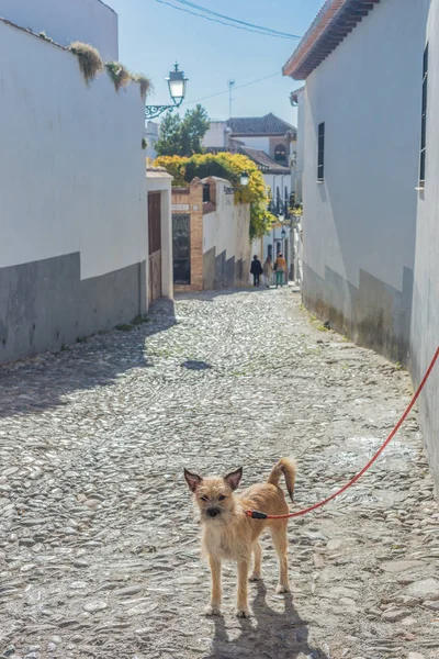 Albaicin quarter streets in Granada, Spain — Stock Photo, Image