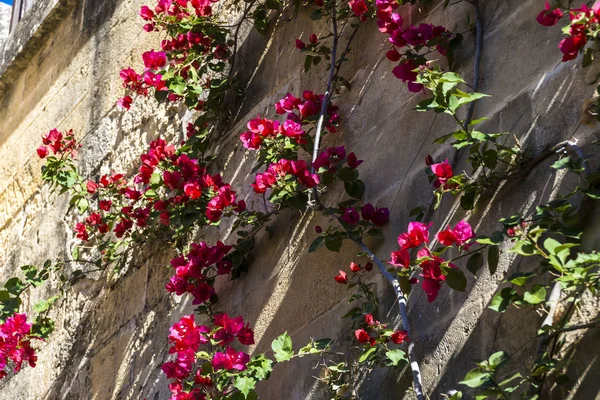 Almodovar del Rio Castle, Cordoba, Andalusia, Spain. — Stock Photo, Image