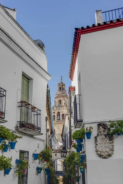 Calleja de las Flores w Kordoba, Andaluzja, Południowa Hiszpania. — Zdjęcie stockowe