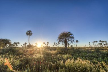 el palmar national park (parque nacional el palmar), Sunrise Arjantin'in Milli Parklar, entre rios, arasında iki nokta üst üste şehirler ve concordia il Merkezi batısında yer alan aşağıdakilerden.