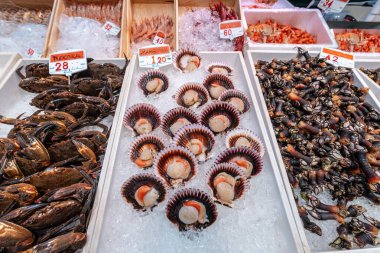 Santander, Cantabria, İspanya 'daki De La Esperanza pazarı.