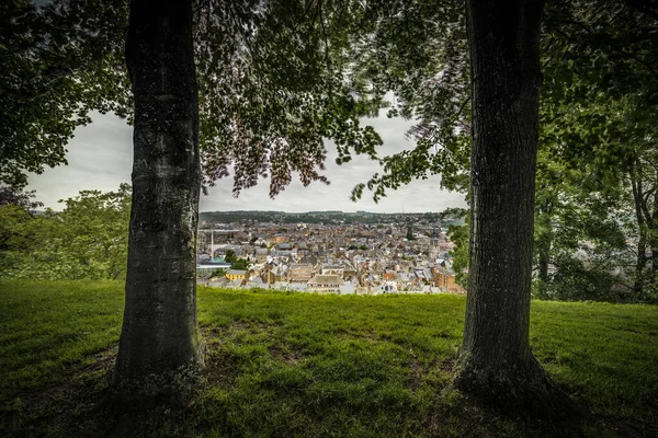 Kale Veya Namur Kale Şehir Namur Valon Bölgesi Belçika Sambre — Stok fotoğraf