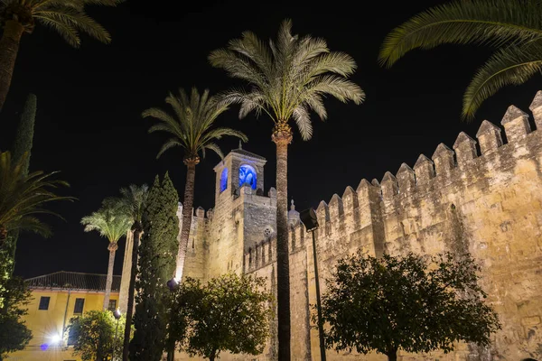 Alcazar Křesťanských Panovníků Také Známý Jako Crdoba Alcazar Středověké Alcazar — Stock fotografie