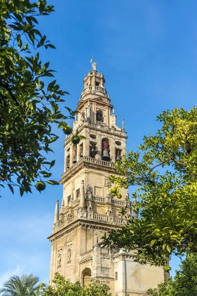 Moschee Kathedrale Von Córdoba Oder Kathedrale Der Himmelfahrt Unserer Lieben — Stockfoto