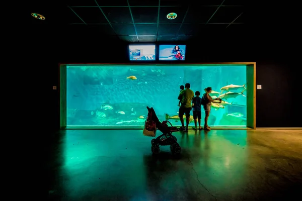 Seville Juillet 2017 Aquarium Séville Situé Delicias Dock Andalousie Espagne — Photo