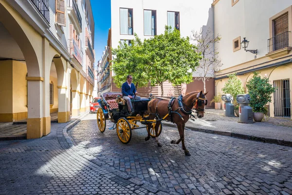 Seville Maart 2017 Paardrijtuig Een Van Meest Klassieke Manieren Stad — Stockfoto