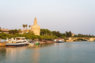 Sevilla, Es - 25 Temmuz 2017: Marques del Contadero alameda in Seville, Endülüs, İspanya.