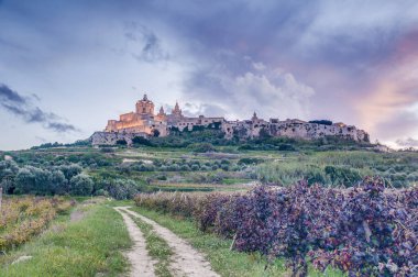 designed by mimar lorenzo gafa mdina, malta, Aziz paul Katedrali